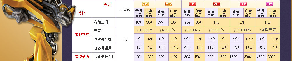 迅雷年会会员直升年会白金会员，迅雷老用户，仅需按月补偿差额，即可享受更高级特权!